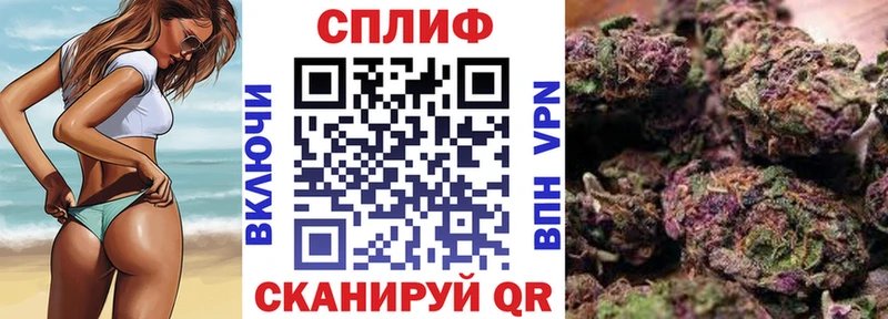 блэк спрут ссылки площадка клад Конопля ГИДРОПОН Меленки